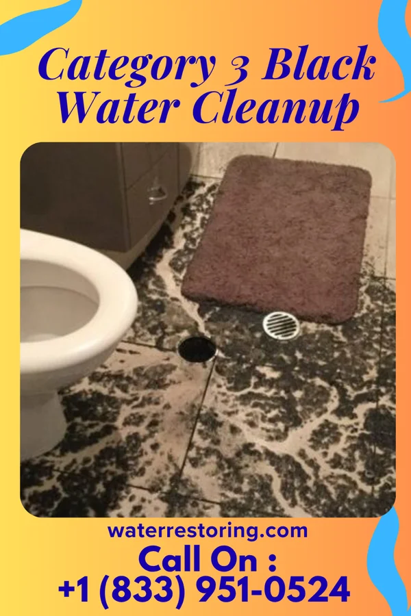 Category 3 Black Water Cleanup in Fox Lake, IL