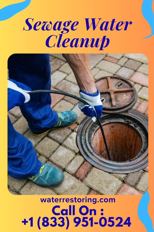 Sewage Water Cleanup in Fox Lake, IL