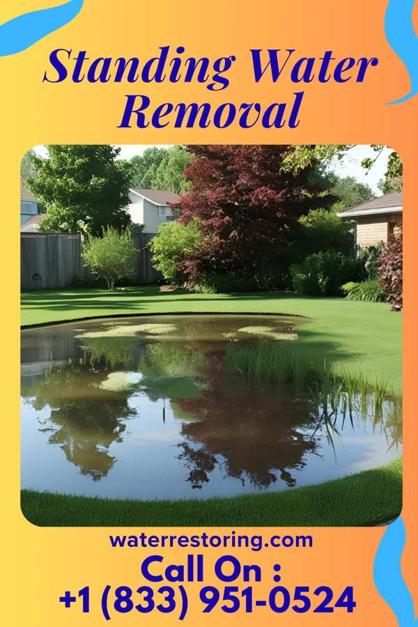 Standing Water Removal in Fox Lake, IL